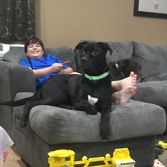 I ship same or next day! Guaranteed authentic. - Picture 6 of 8